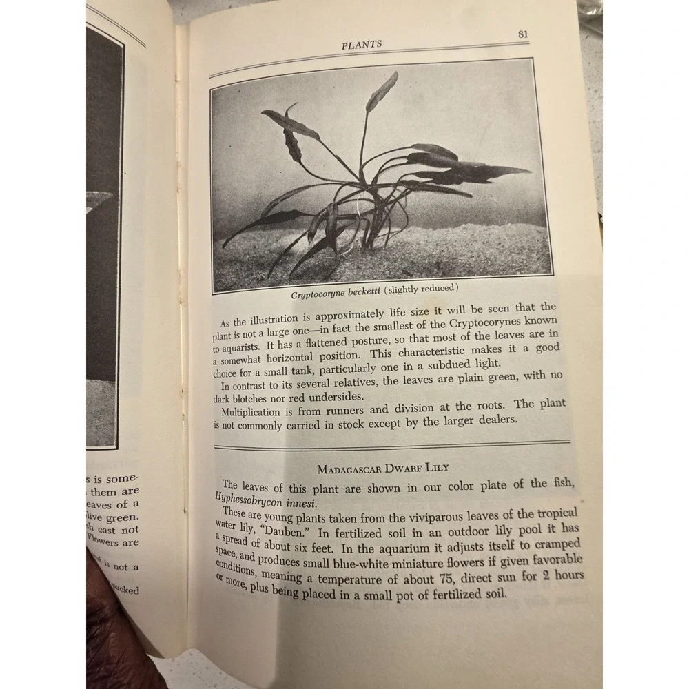 N/A product hardcover